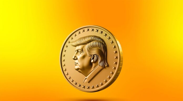 Мемкоины, NFT и все-все-все: как не потерять деньги